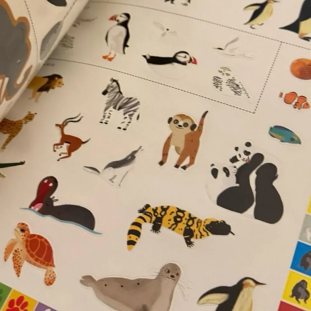 Discovery Kids Workbook & Sticker Collection Body Dinosaurs & Animals Activitys